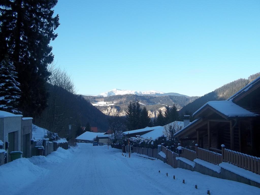 Villa Wellspacher Semmering Exterior foto